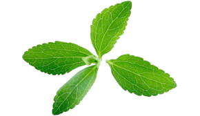 Health benefits of Stevia Leaf