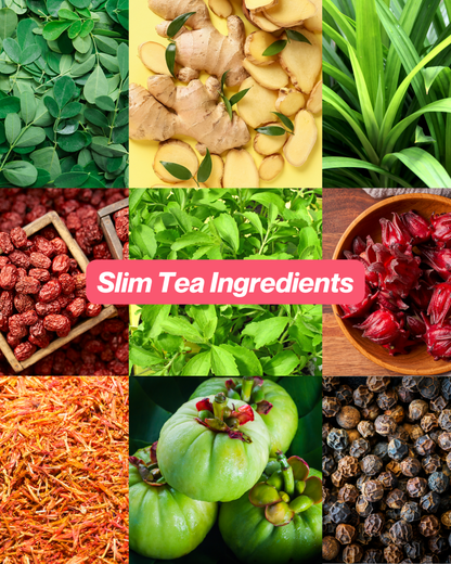 Transformation Bundle